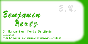 benjamin mertz business card